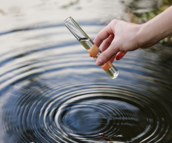 water bacteria